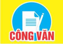 Triển khai hoạt động của IC tháng 7 - 8/2025 - Dự án Hòa nhập 2b